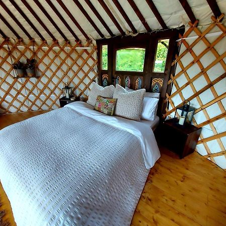 The Kites Rest At Castle Creavie Farm Ξενοδοχείο Kirkcudbright Εξωτερικό φωτογραφία