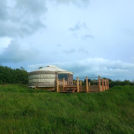 The Kites Rest At Castle Creavie Farm Ξενοδοχείο Kirkcudbright Εξωτερικό φωτογραφία