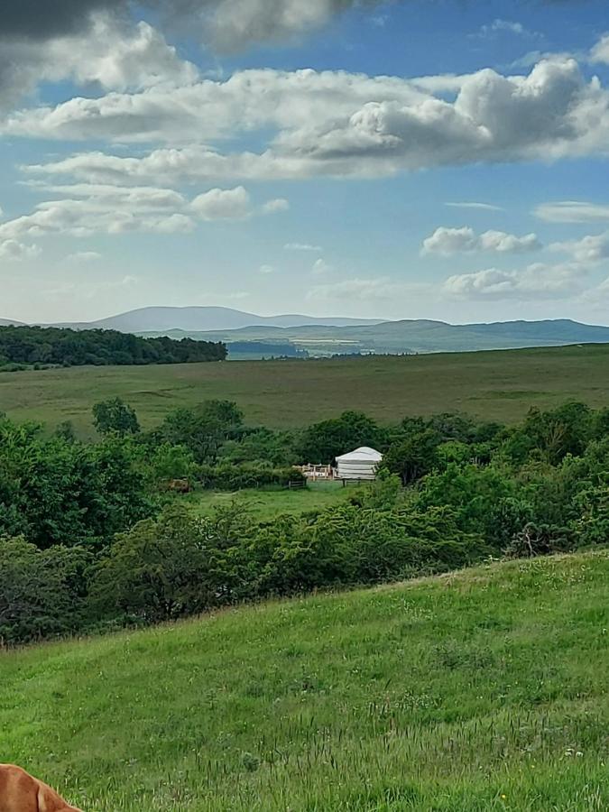 The Kites Rest At Castle Creavie Farm Ξενοδοχείο Kirkcudbright Εξωτερικό φωτογραφία